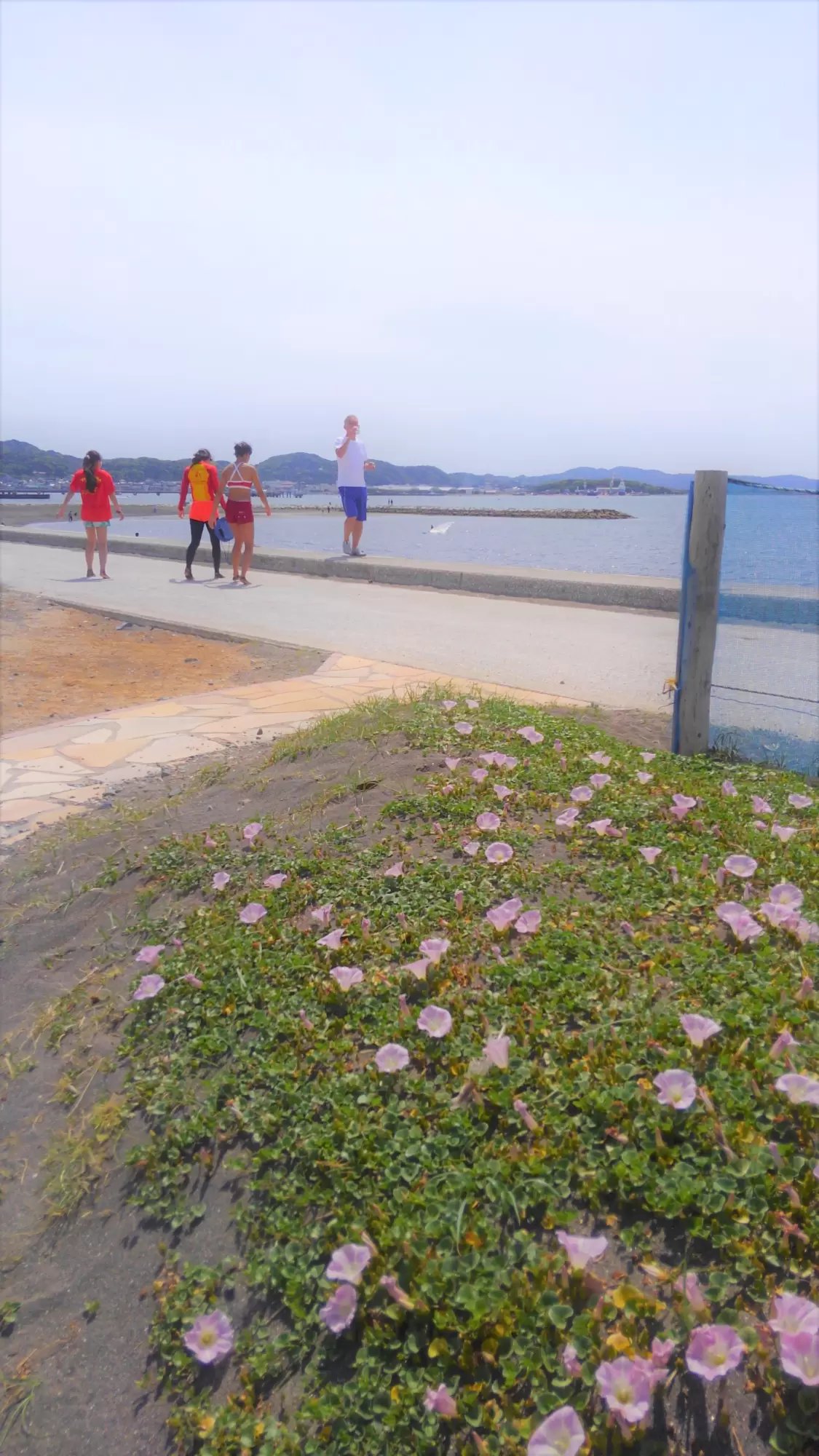 🏖️ 호조 해수욕장(호조카이스이요쿠조) 이미지 5